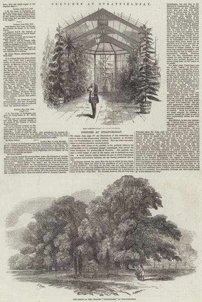 Sketches at Stratfieldsay by Samuel Read